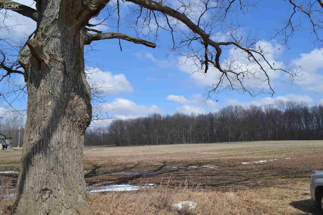 0 Lahring Road Byron, MI 48418 - Photo 1 of 11