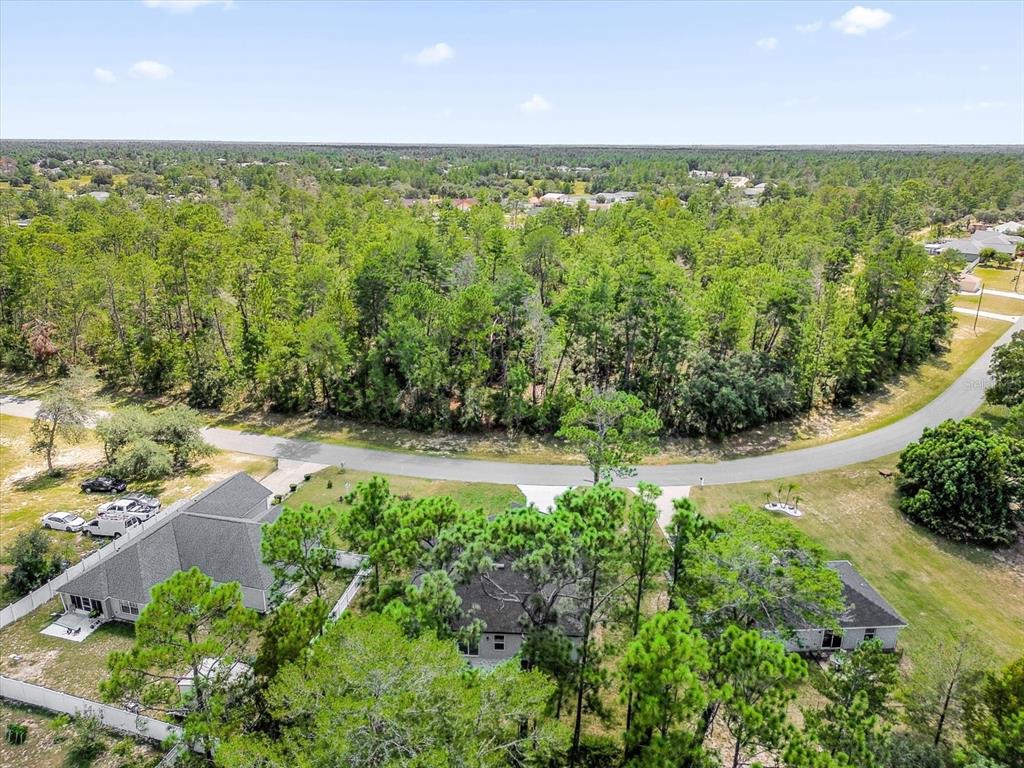 15782 Southwest 52nd Ave Road Ocala, FL 34473 - Photo 32 of 34 a view of a garden with an outdoor space