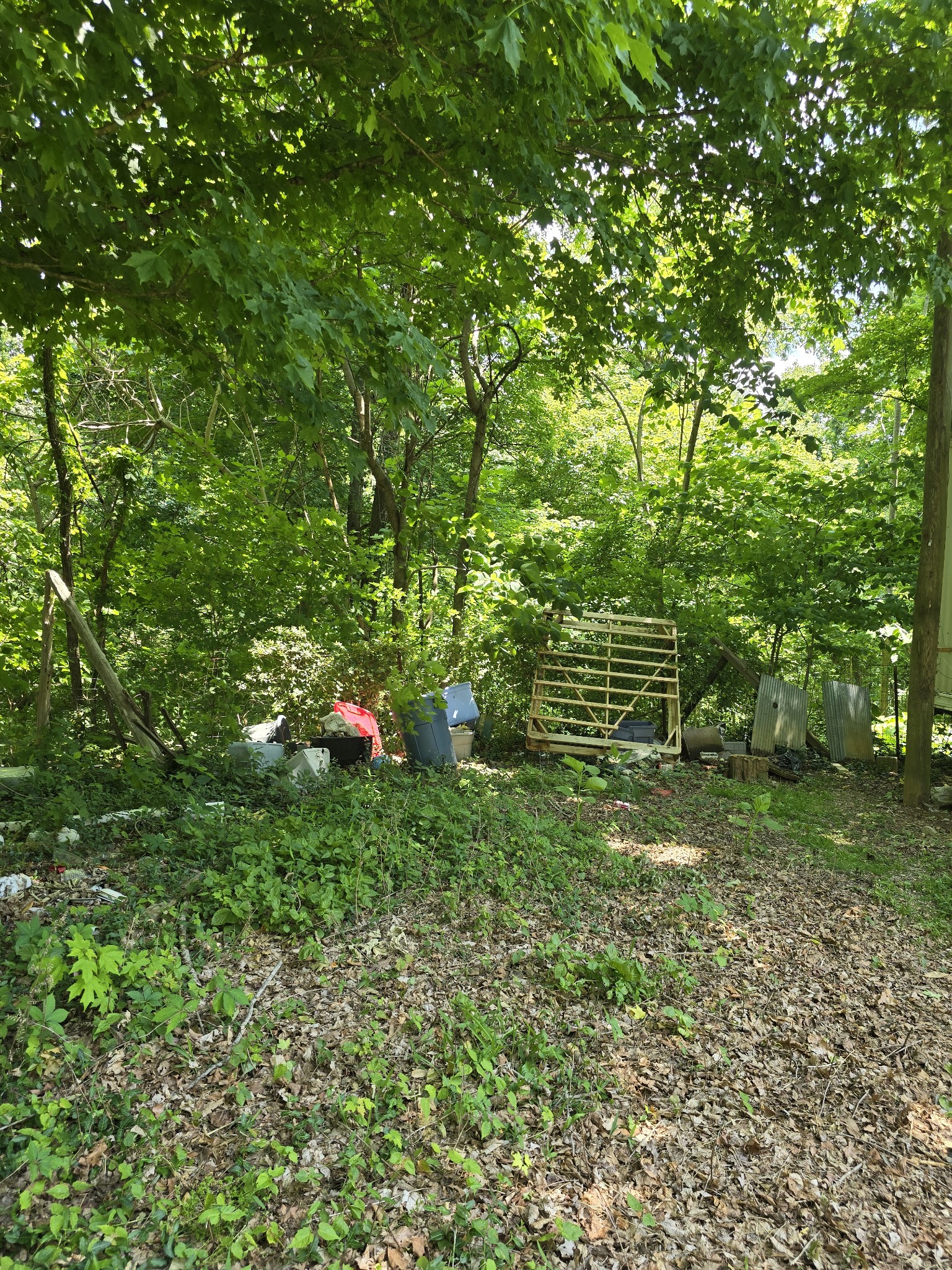 701 Stinson Road Bon Aqua, TN 37025 - Photo 48 of 57
