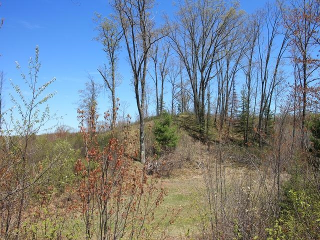 19081 Erickson Drive Dunbar, WI 54119 - Photo 41 of 87