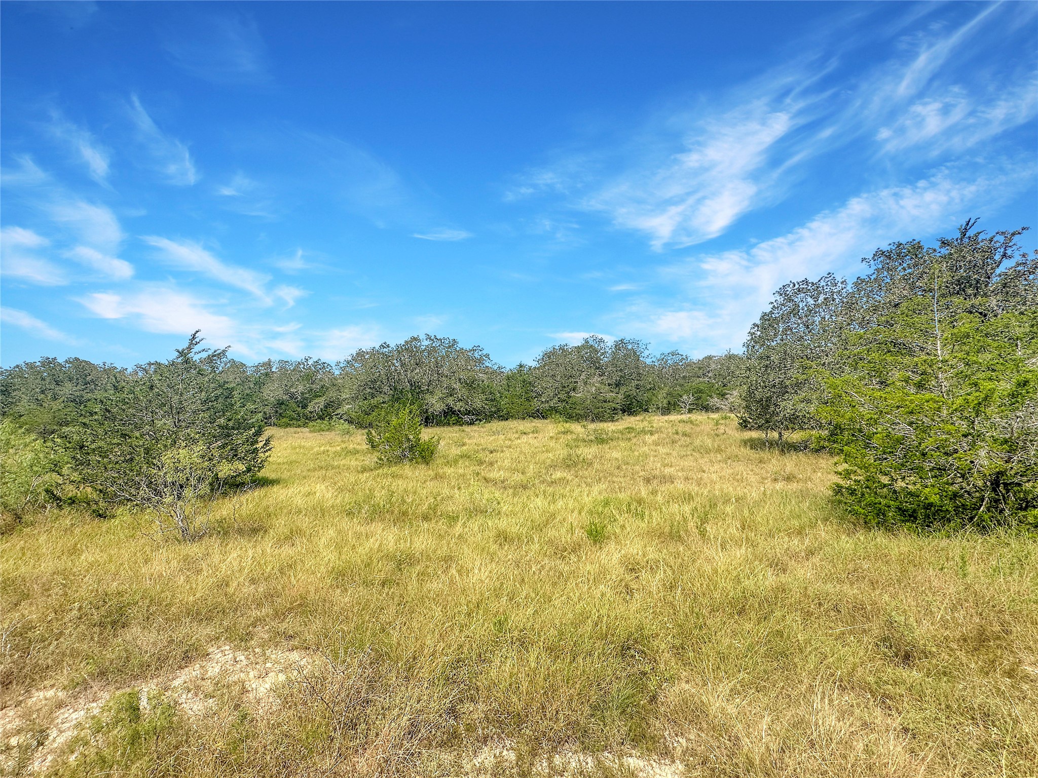 1345 Davis Road Muldoon, TX 78949 - Photo 14 of 25 a view of a lake view