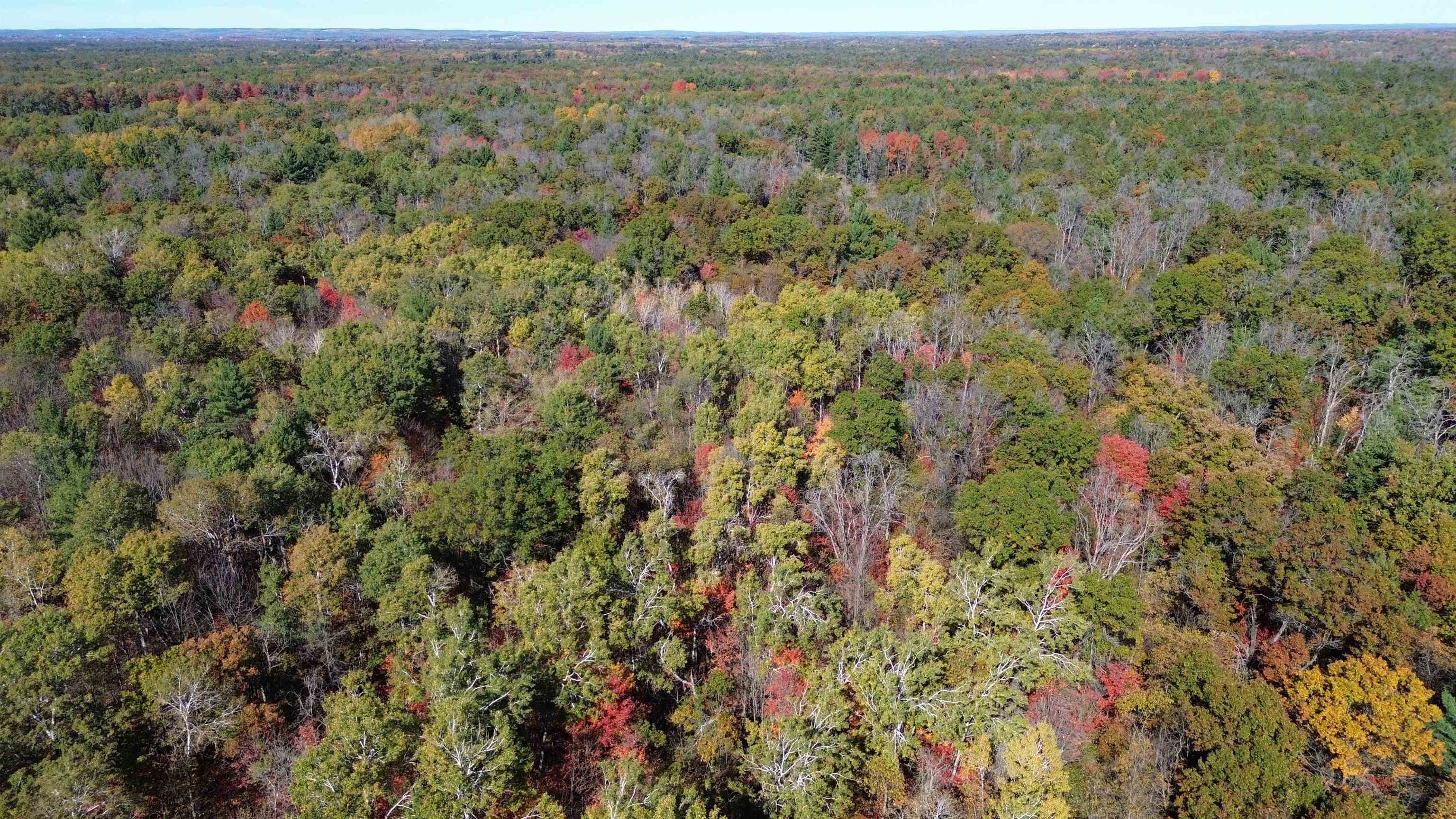 0 Timber Trail Prescott, MI 48756 - Photo 21 of 44