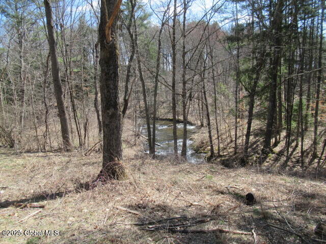 37 Warren Cemetery Road Pittstown, NY 12090 - Photo 16 of 19 IMG_8139