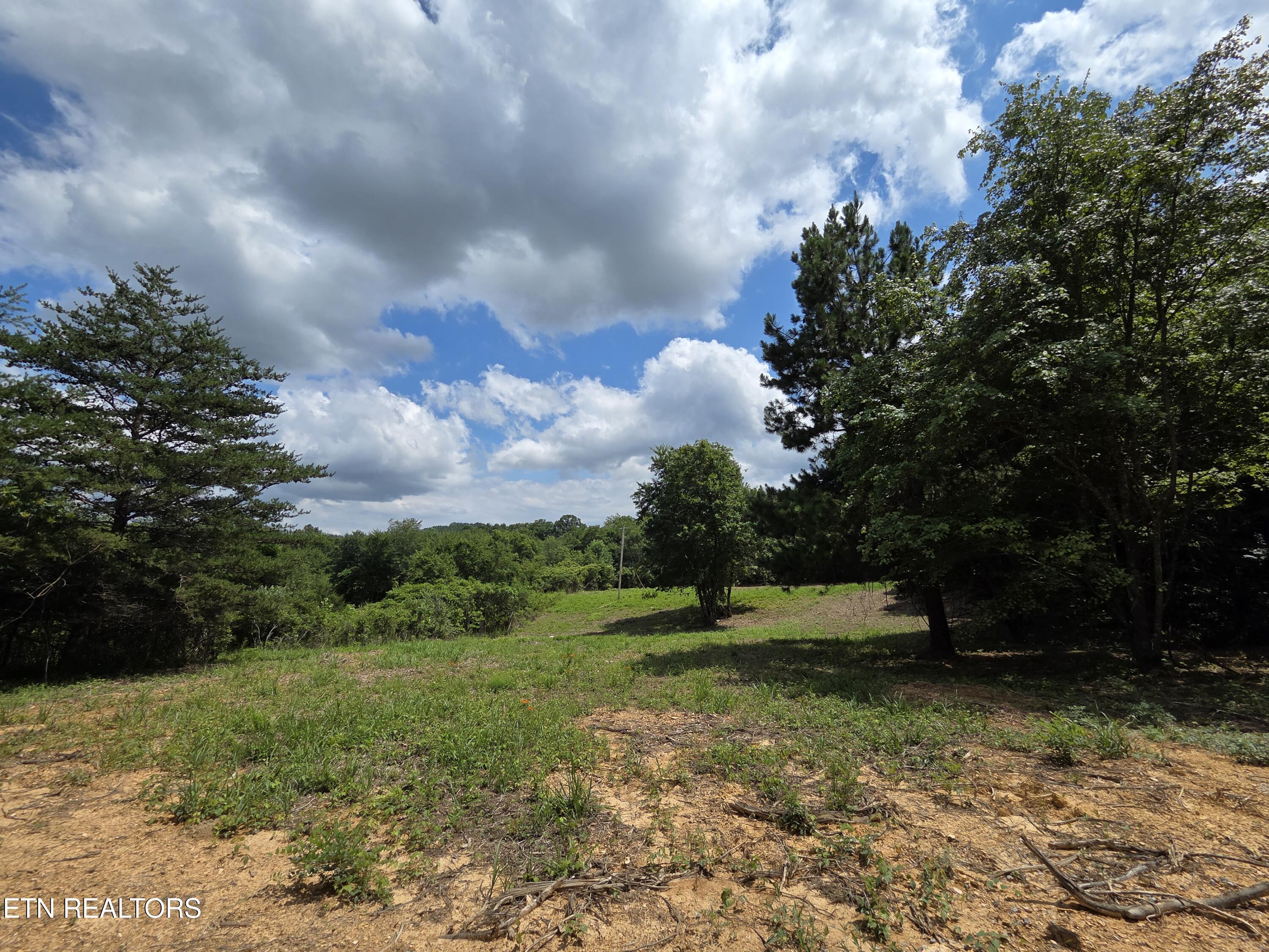 Sheep Ranch Rd Road Robbins, TN 37852 - Photo 3 of 26 20260723_150436