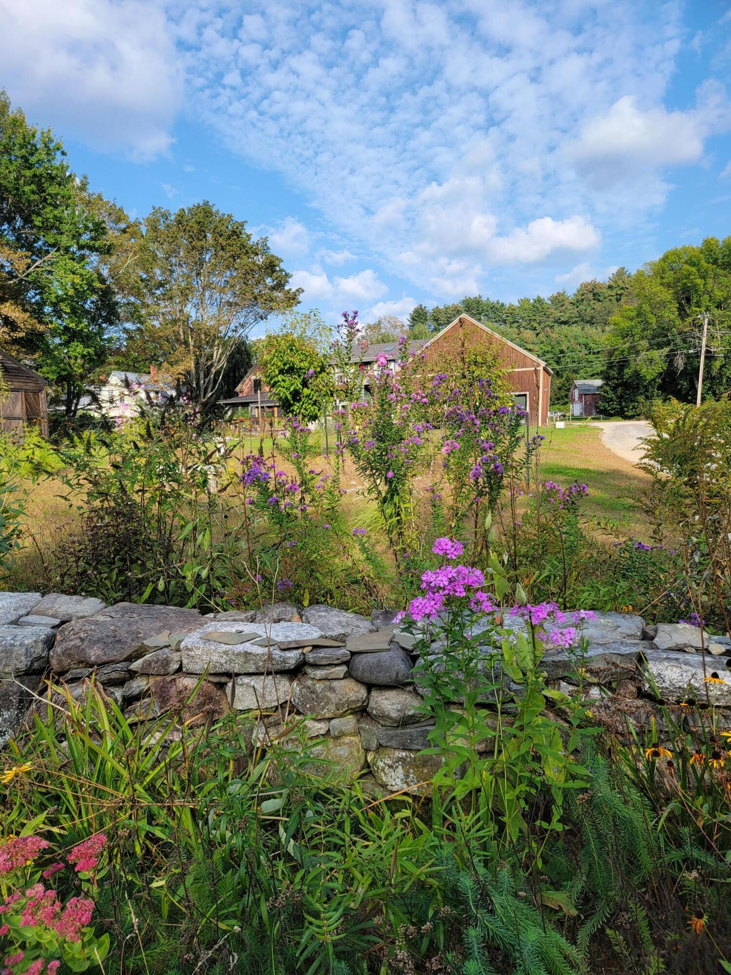 7 Raymond Cape Road Raymond, ME 04071 - Photo 80 of 89 7 Cape Rd Gardens