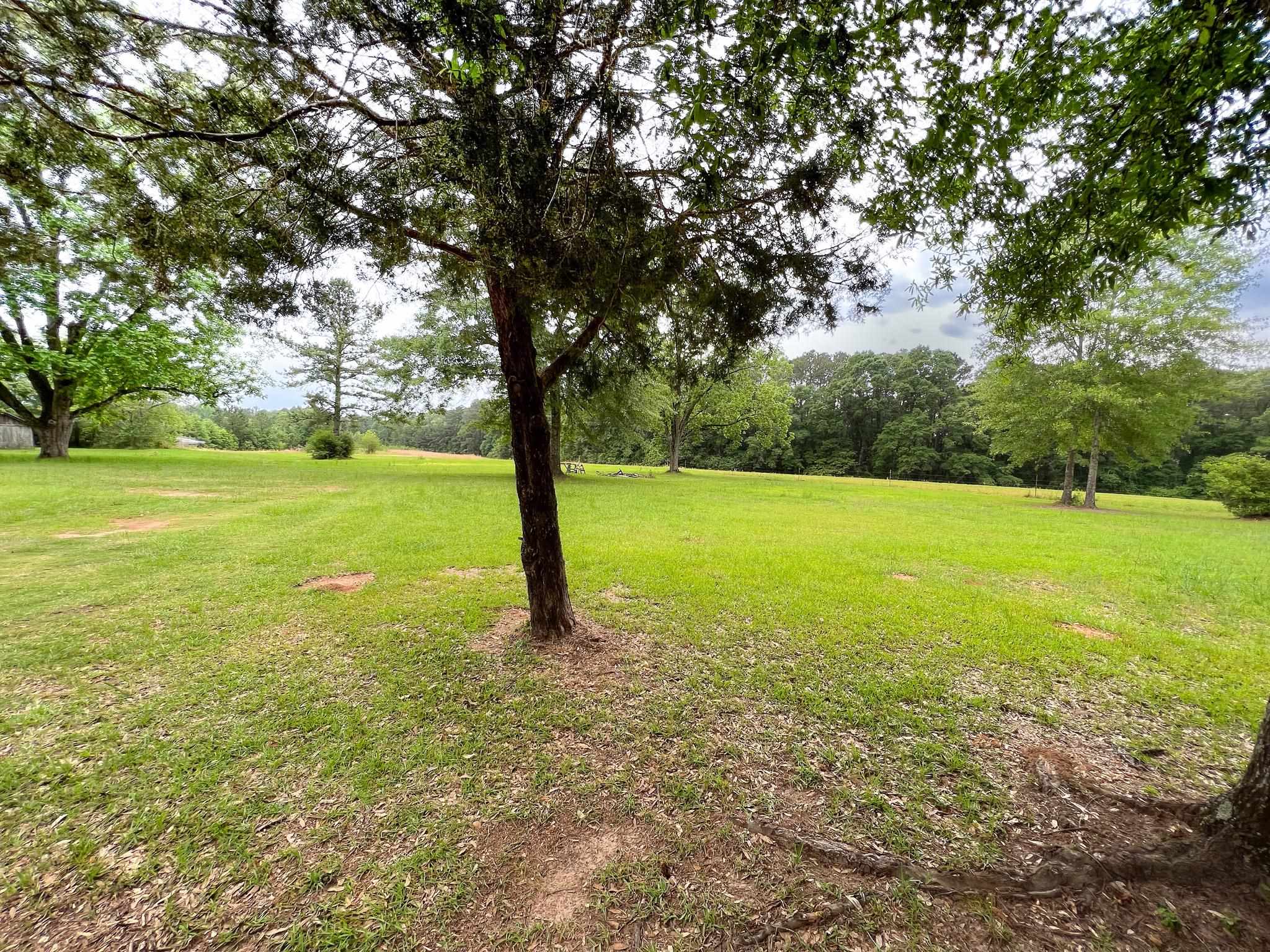 7686 Ard Creek Road Red Level, AL 36474 - Photo 11 of 18 Gallery Image 11