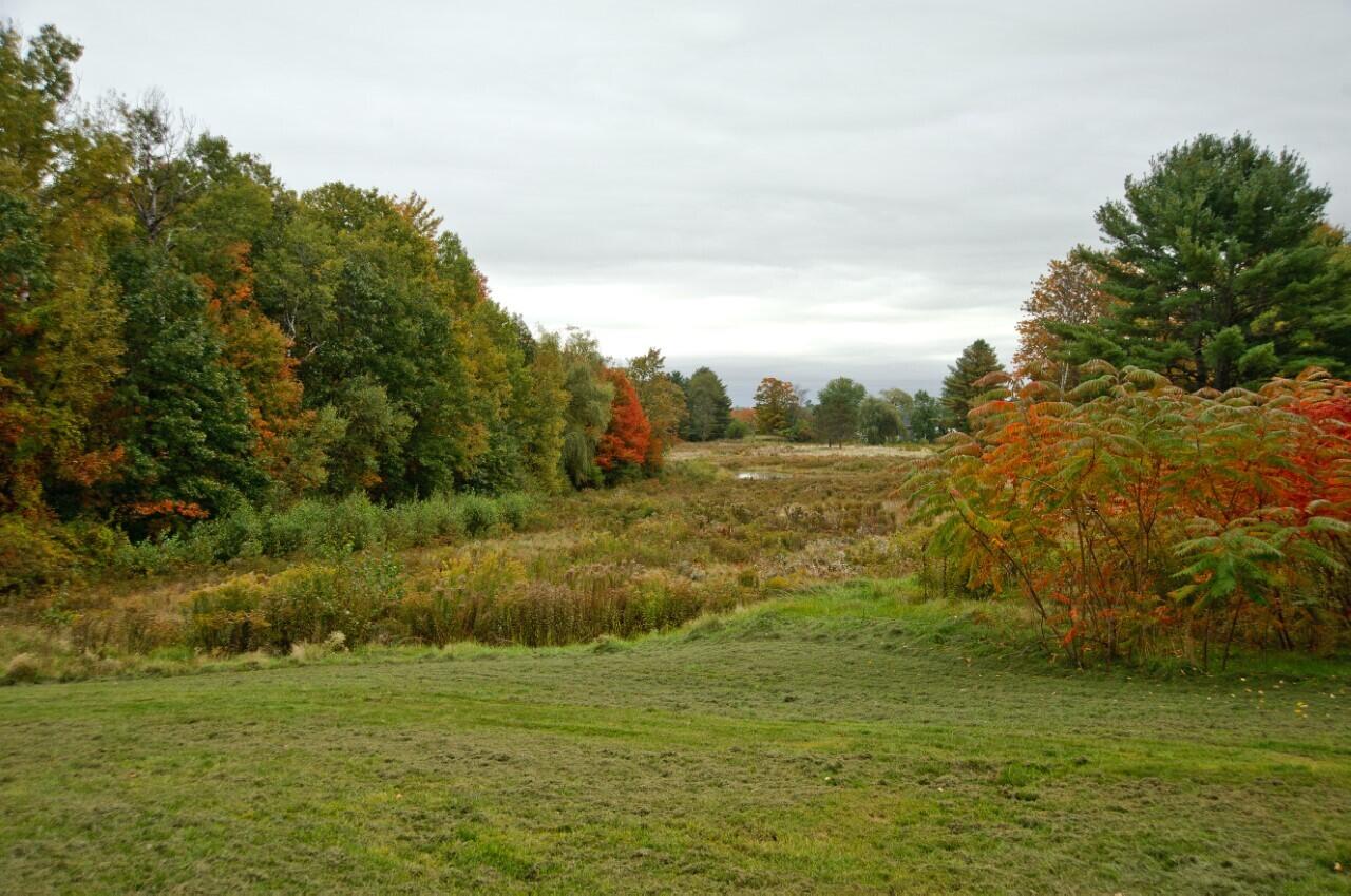 229 Lane Road Auburn, ME 04210 - Photo 8 of 26 Front Yard