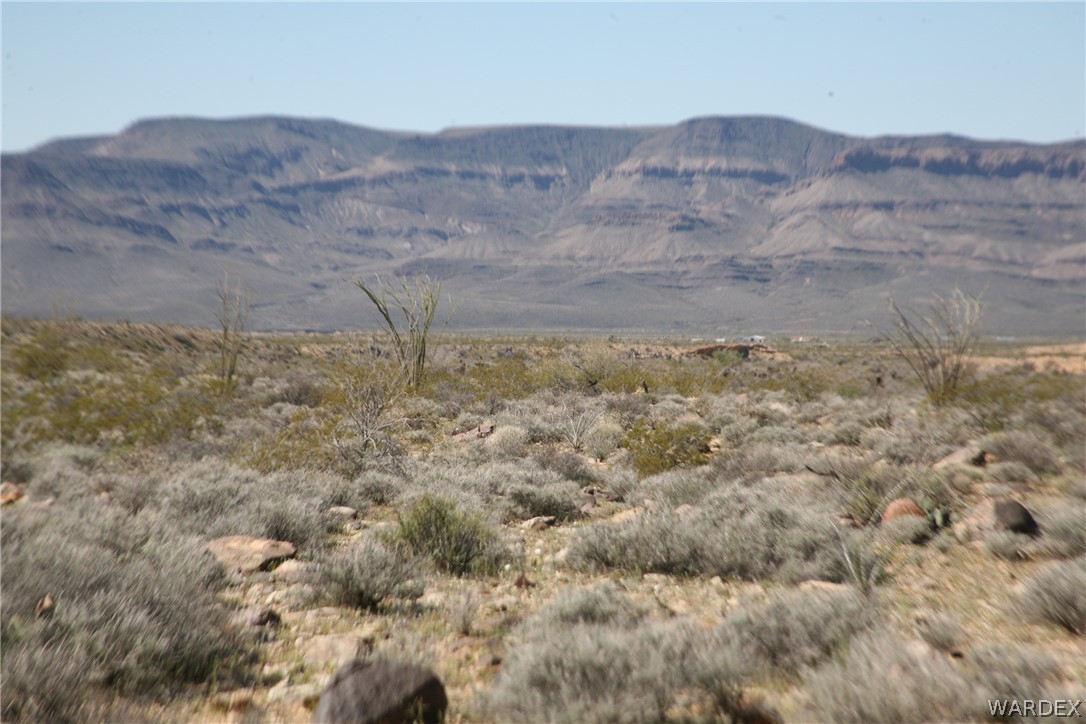 208-24-134 Cameron Road Yucca, AZ 86438 - Photo 67 of 86