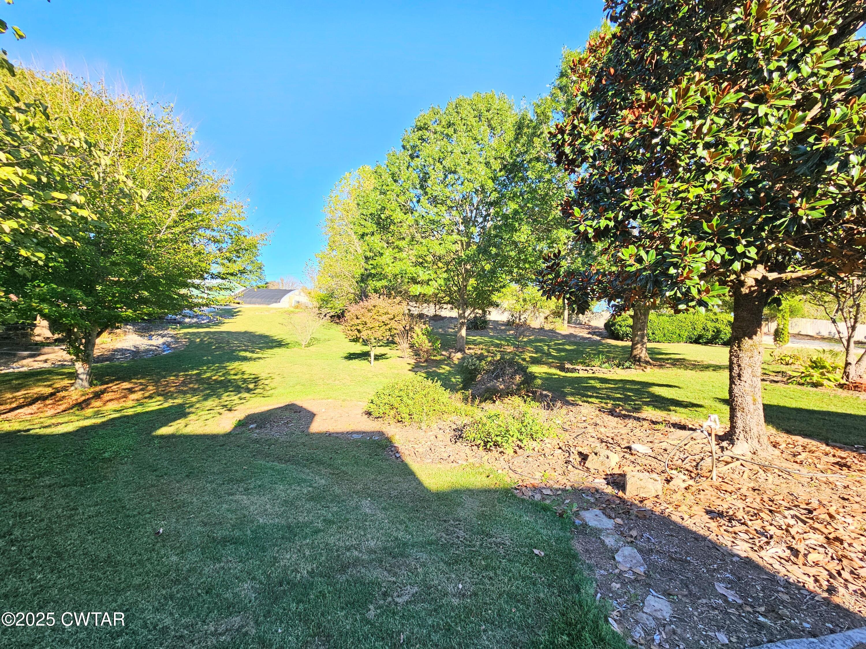 125 Hurts Chapel Road Jackson, TN 38301 - Photo 46 of 50 a view of a yard with an trees