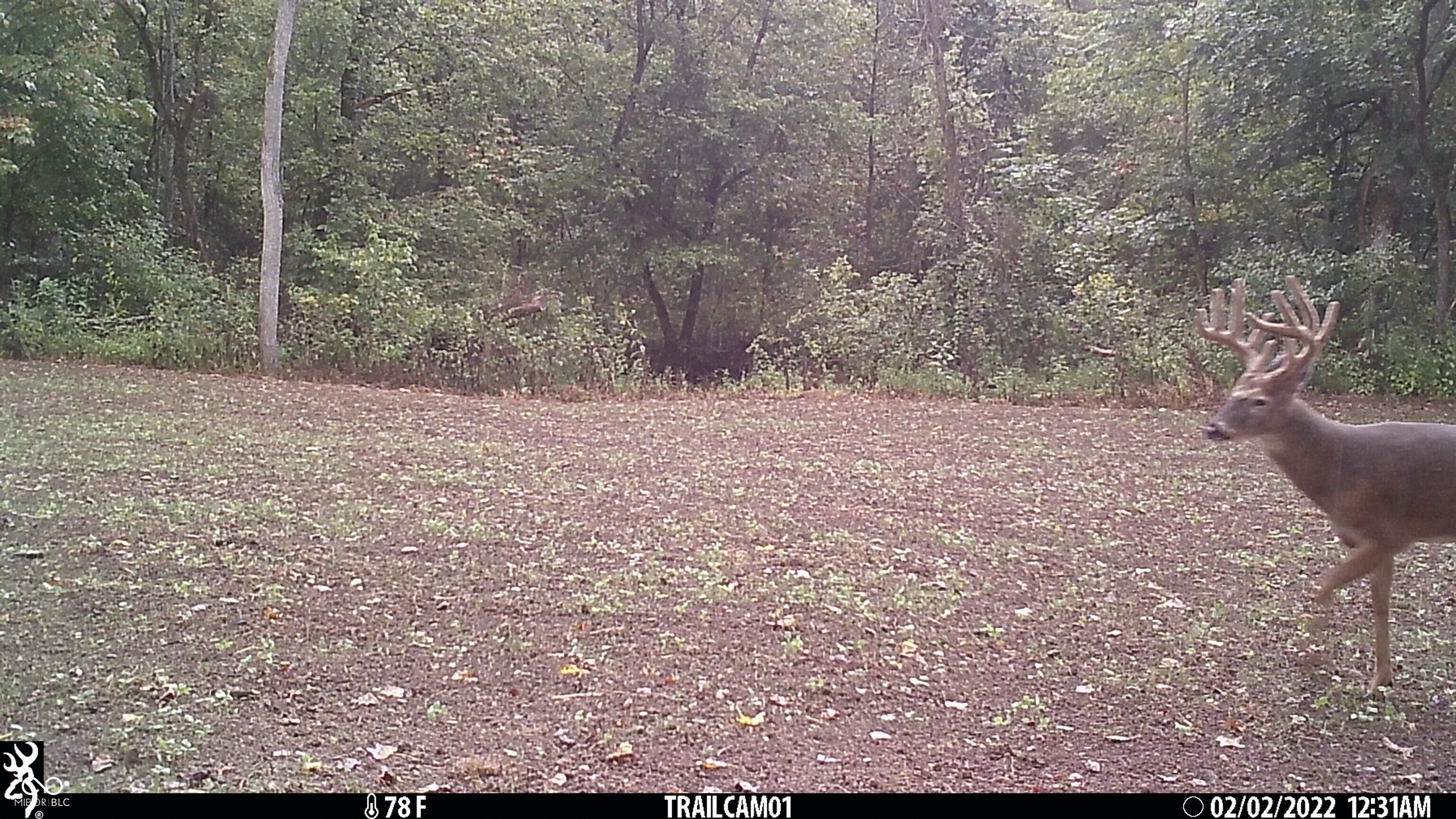 2933 Saluda Hl Road Hanover, IN 47243 - Photo 117 of 122