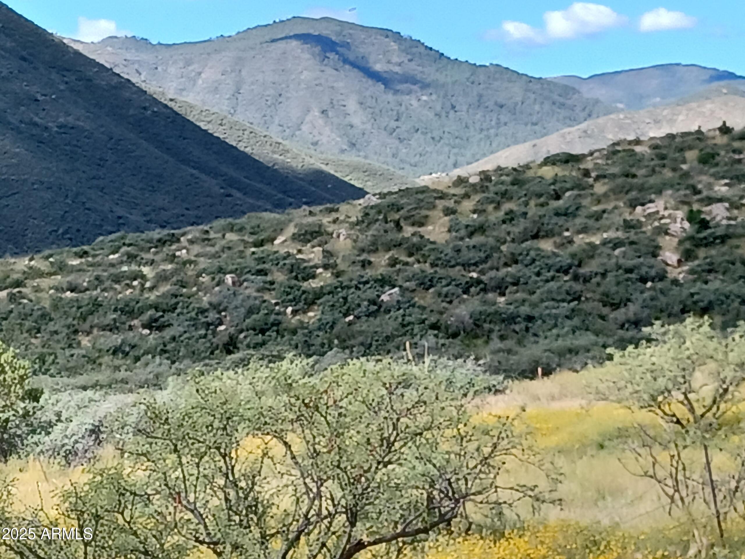 5668 Miners Pick Road Mayer, AZ 86333 - Photo 15 of 39 ILAZ6975