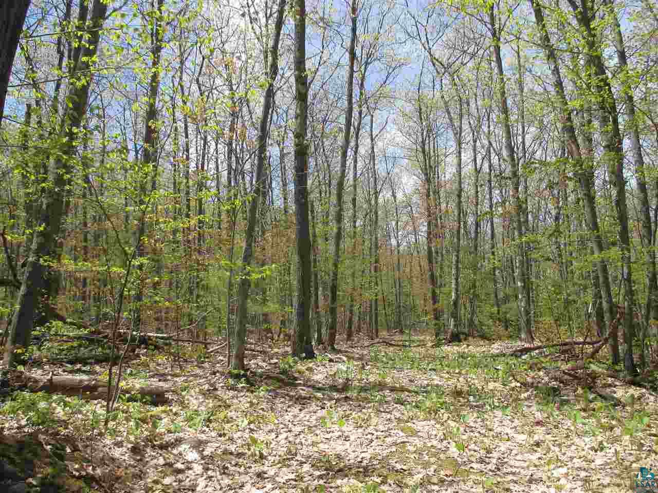 87500 Sky View Road Bayfield, WI 54814 - Photo 14 of 31 Great Birding Location!