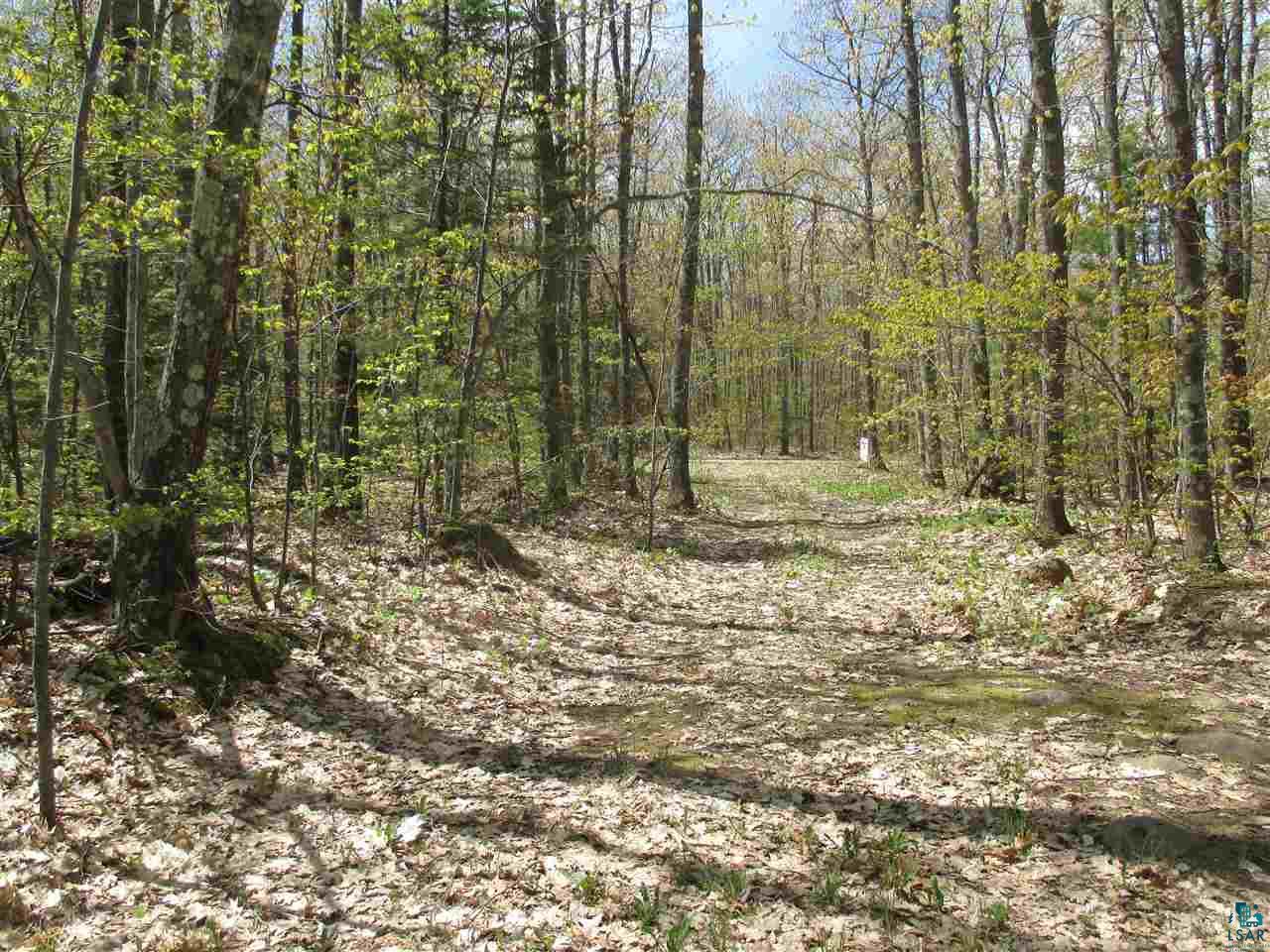 87500 Sky View Road Bayfield, WI 54814 - Photo 24 of 31 Beautiful driveway