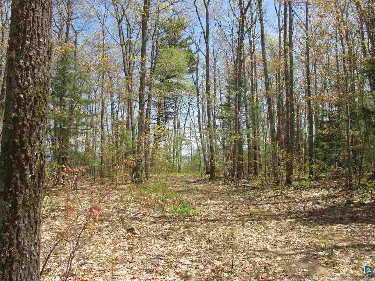 87500 Sky View Road Bayfield, WI 54814 - Photo 3 of 31 Driveway installed