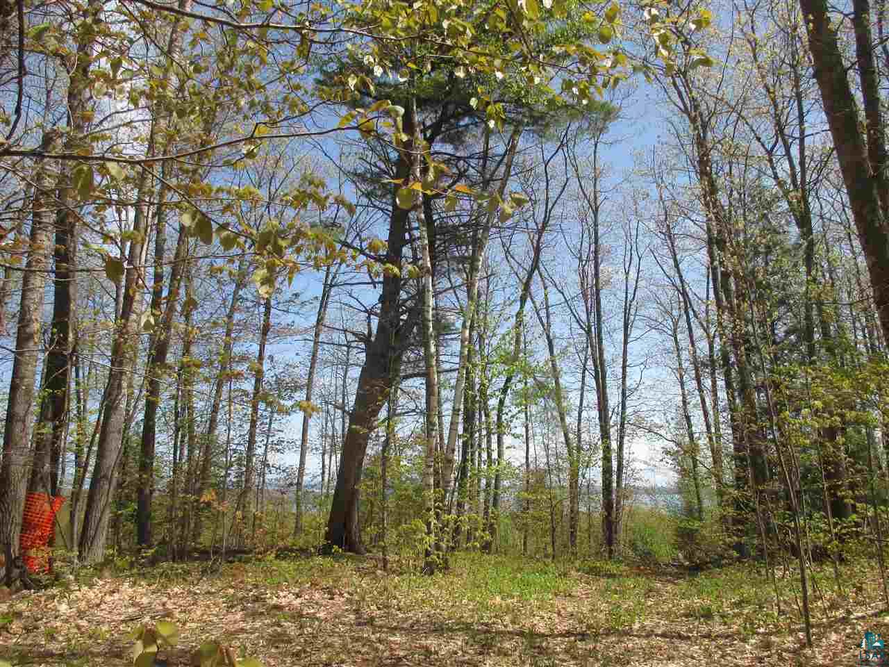87500 Sky View Road Bayfield, WI 54814 - Photo 5 of 31 Towering White Pine