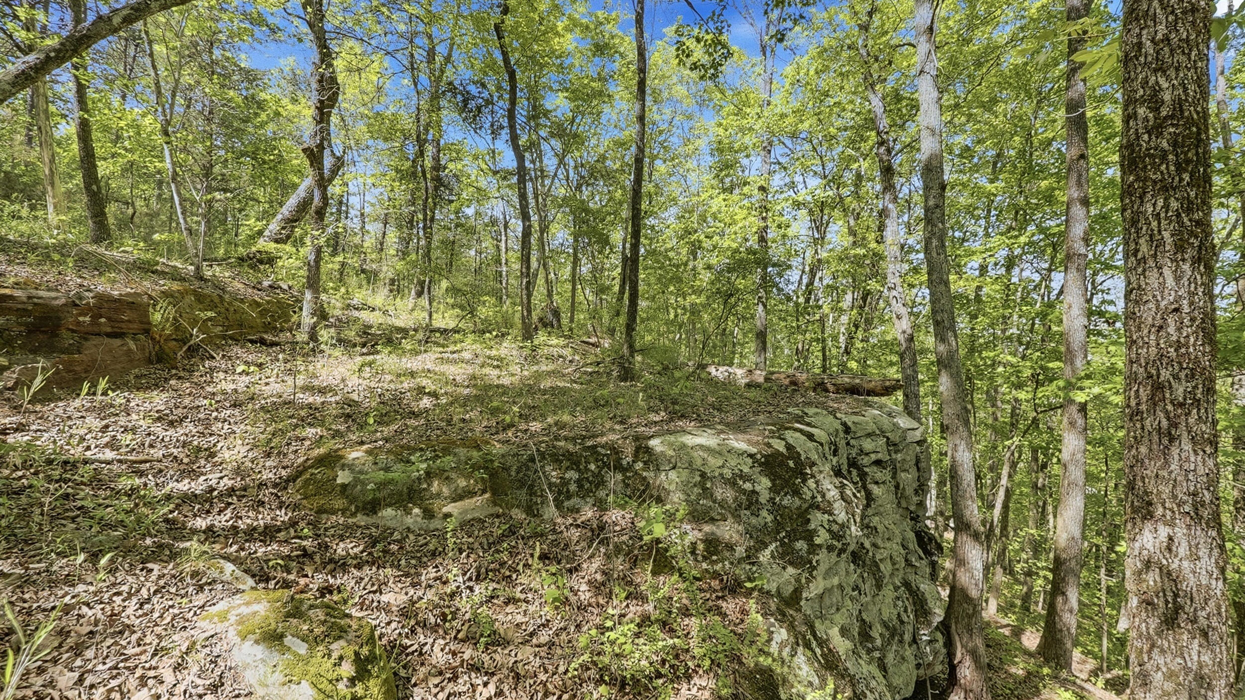 0 Worley Road, Unit LOT 43 Soddy-Daisy, TN 37379 - Photo 11 of 31 11024 Worley Rd-10