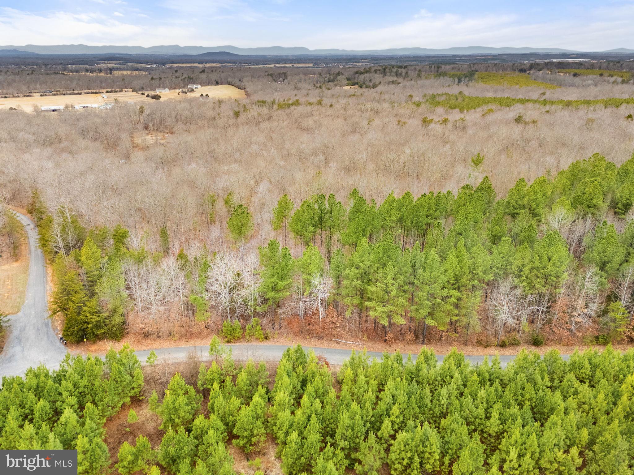Sams Ridge Lignum, VA 22726 - Photo 31 of 31