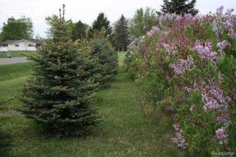 14201 Tuscola Road Clio, MI 48420 - Photo 37 of 38 30053429_36.jpg