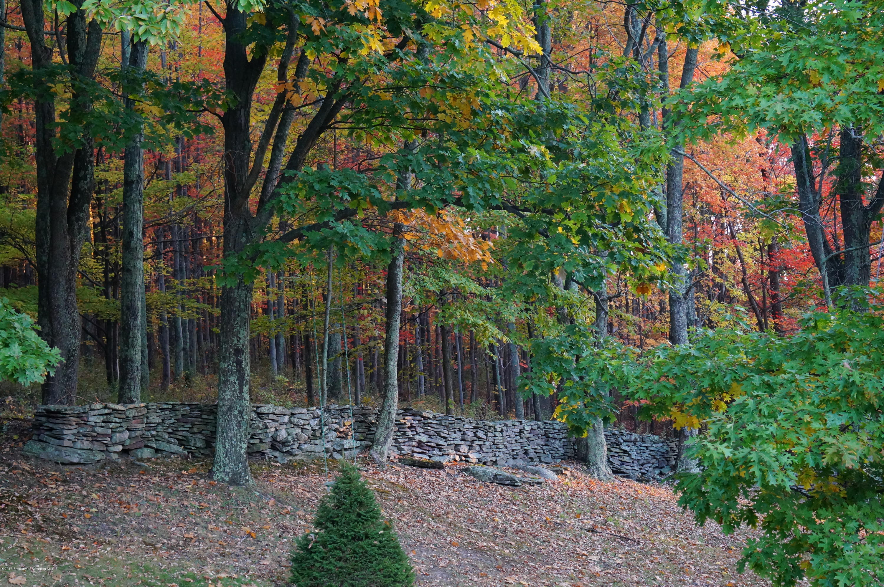 167 Archer Road Factoryville, PA 18419 - Photo 44 of 55 Gallery Image 44