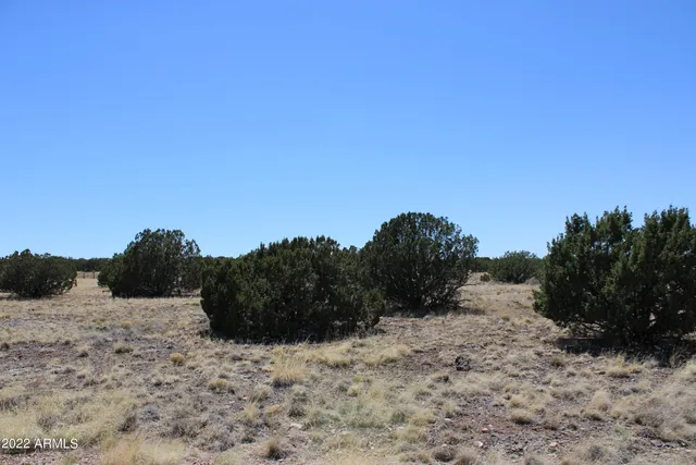 $64,900 | 2524 Rock View Drive, Unit 13, Show Low, AZ 85901