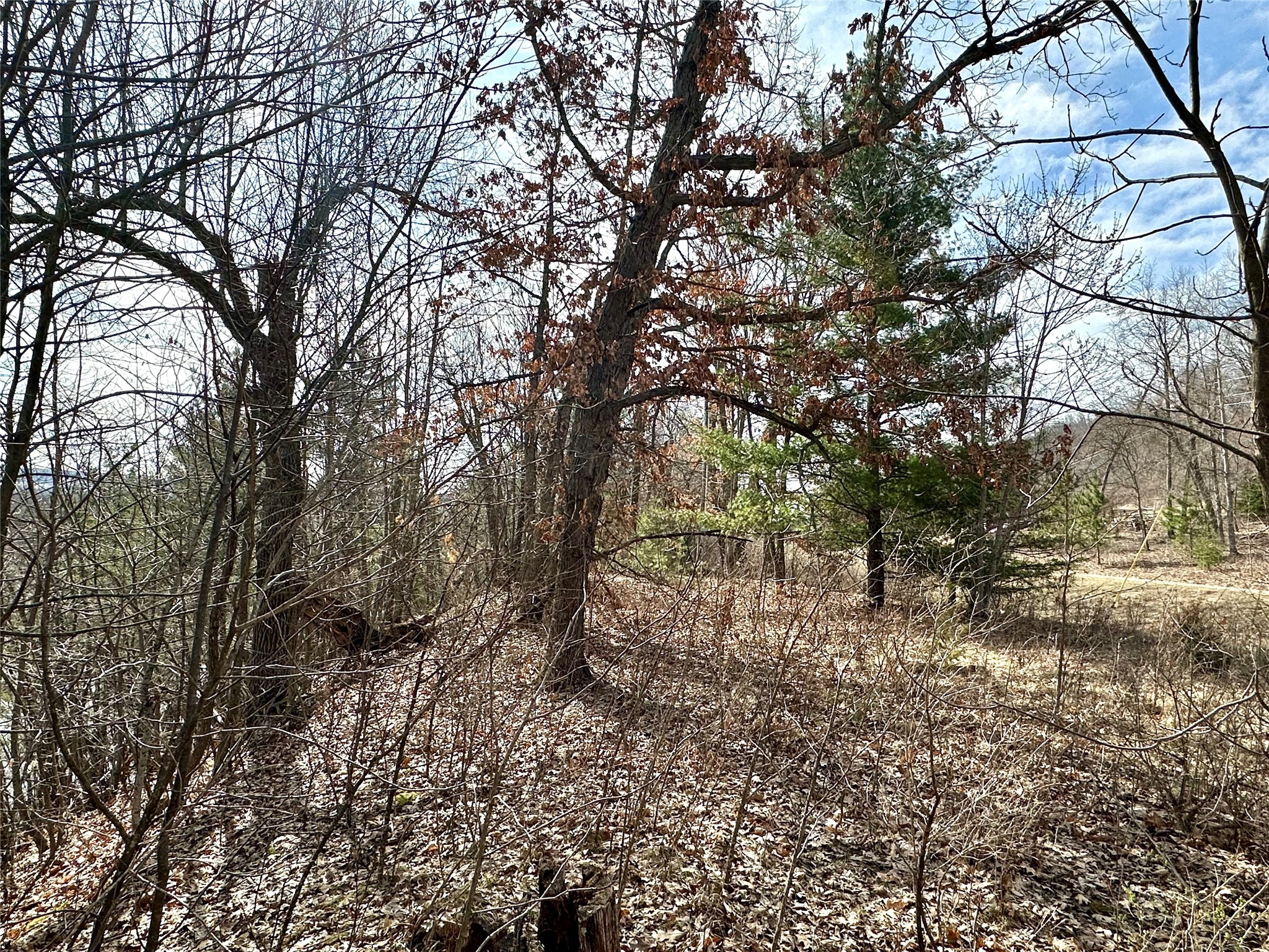 N4548 County Road North Arkansaw, WI 54721 - Photo 16 of 25