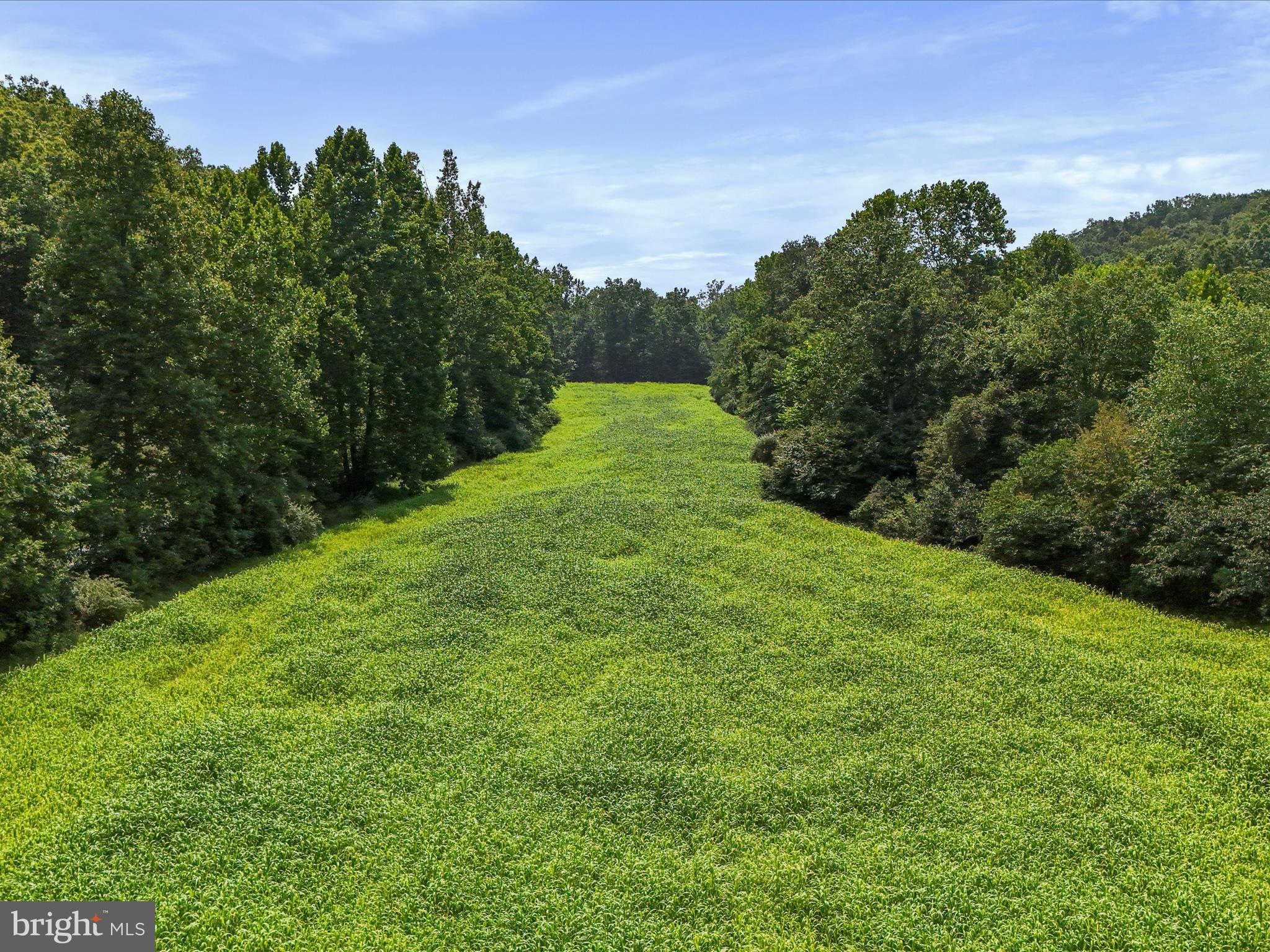 1704 Posey Hollow Road Berkeley Springs, WV 25411 - Photo 16 of 16