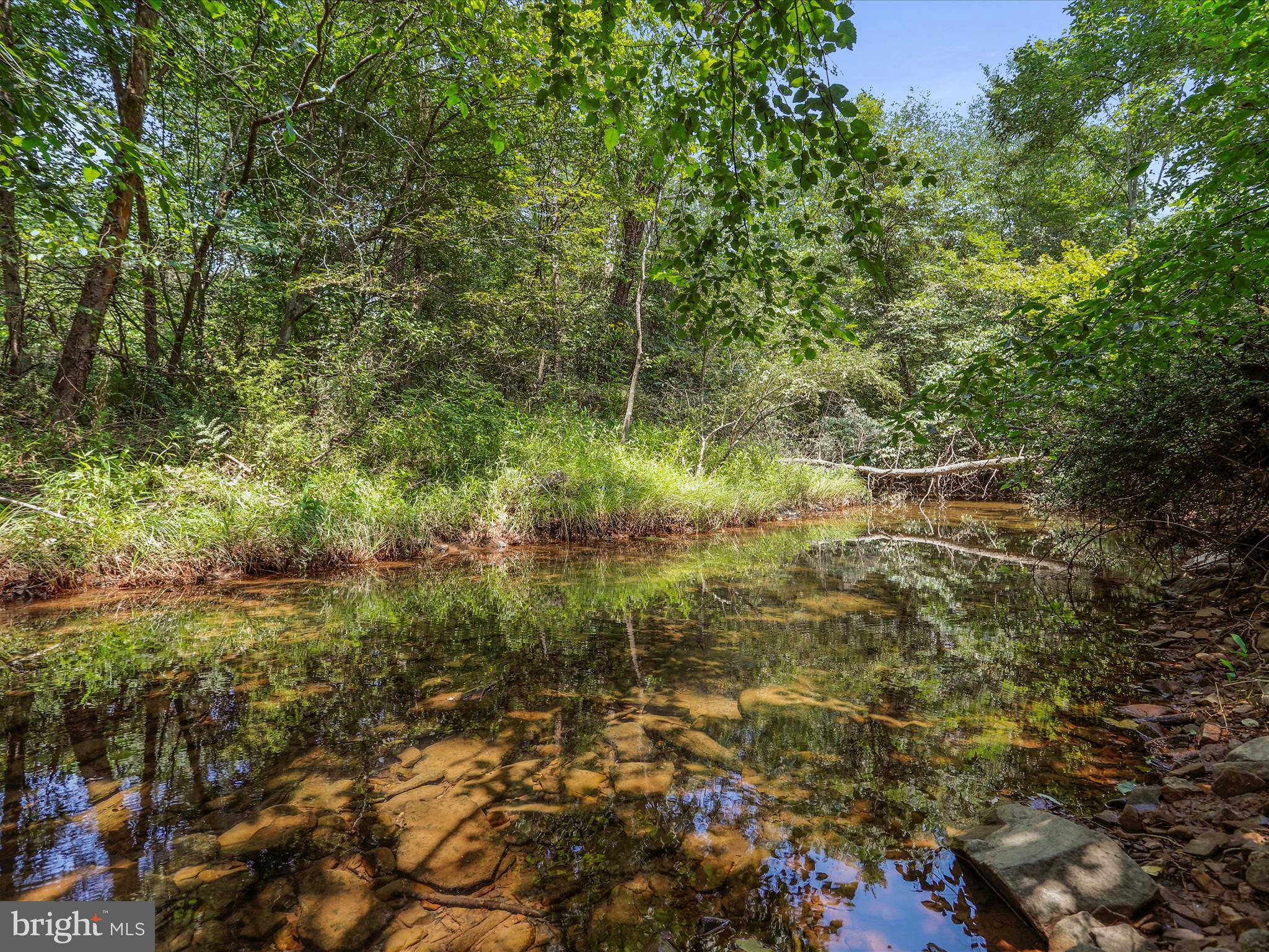 1704 Posey Hollow Road Berkeley Springs, WV 25411 - Photo 2 of 16 Creek access!