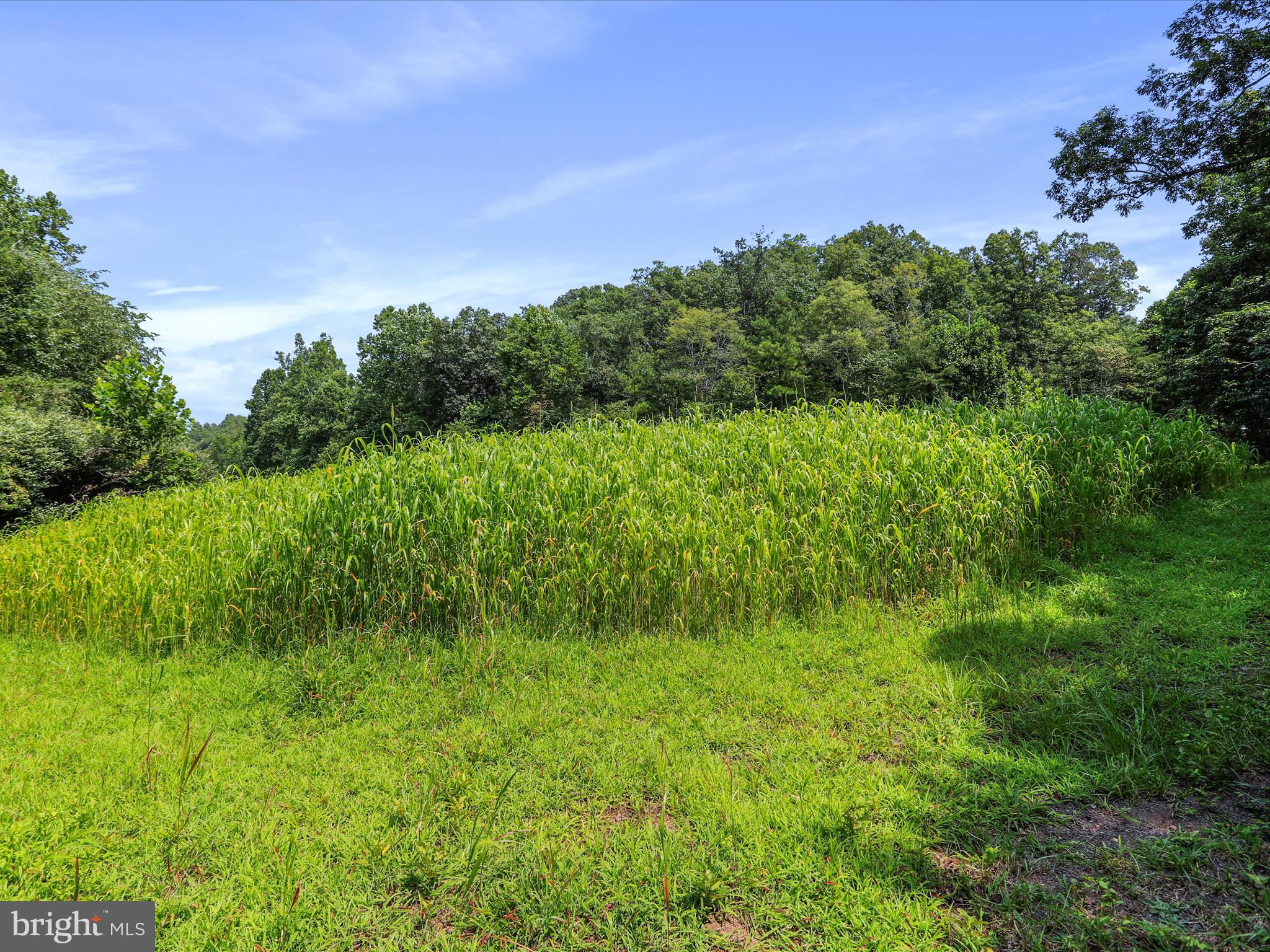 1704 Posey Hollow Road Berkeley Springs, WV 25411 - Photo 4 of 16