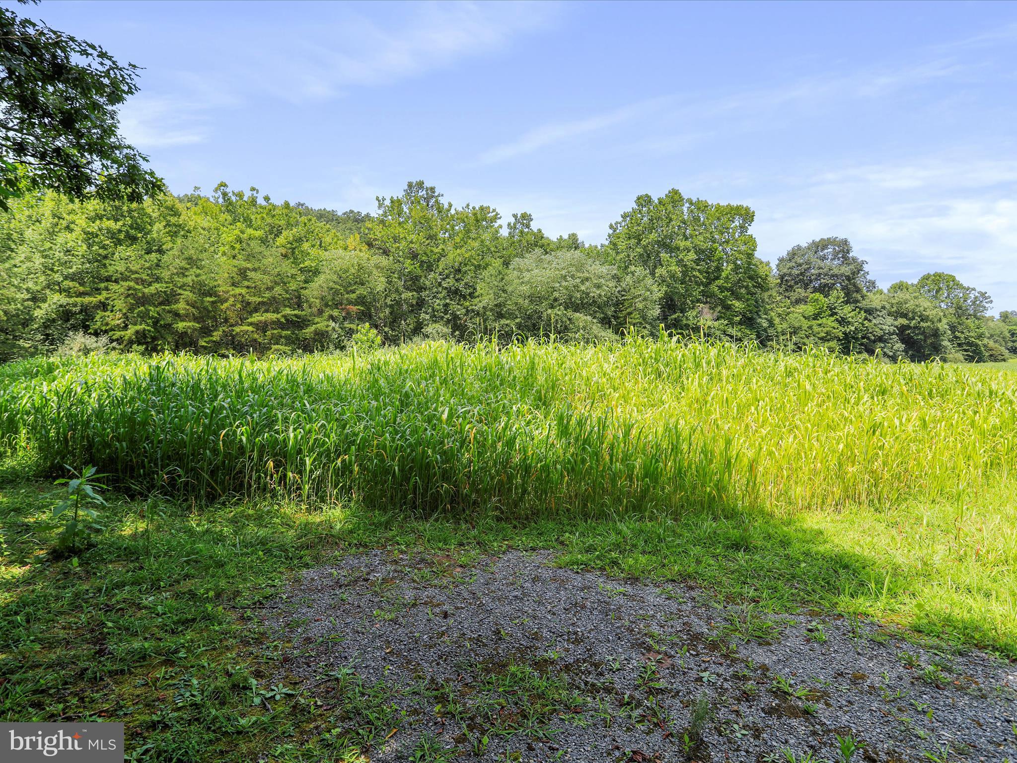1704 Posey Hollow Road Berkeley Springs, WV 25411 - Photo 6 of 16
