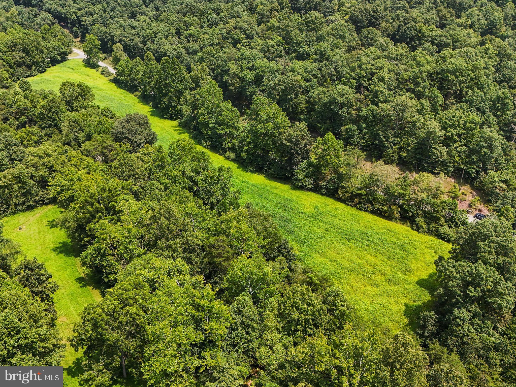 1704 Posey Hollow Road Berkeley Springs, WV 25411 - Photo 8 of 16