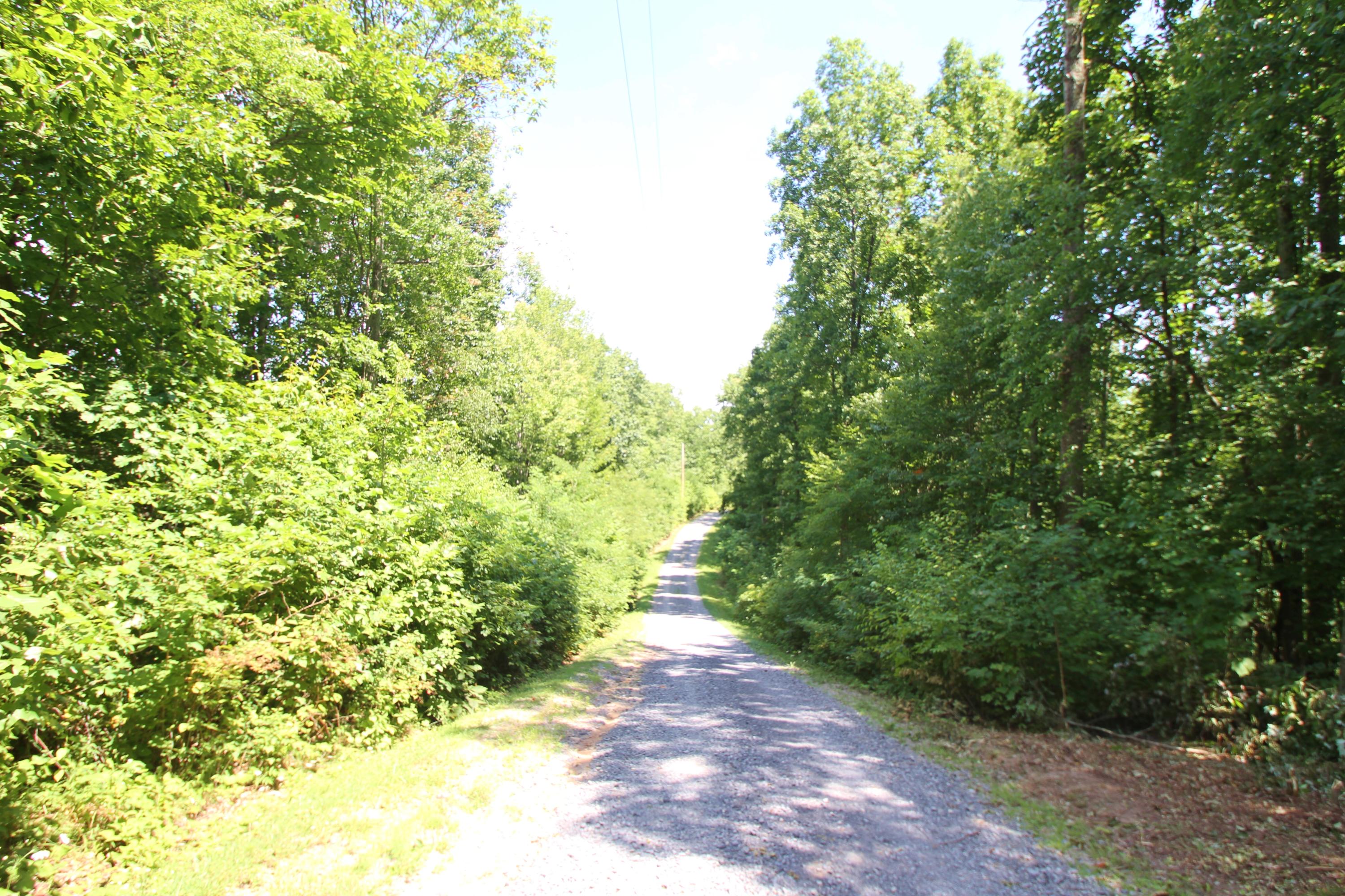 Lot 46 South Ridge Lane Ballard, WV 24918 - Photo 3 of 12 Gallery Image 3