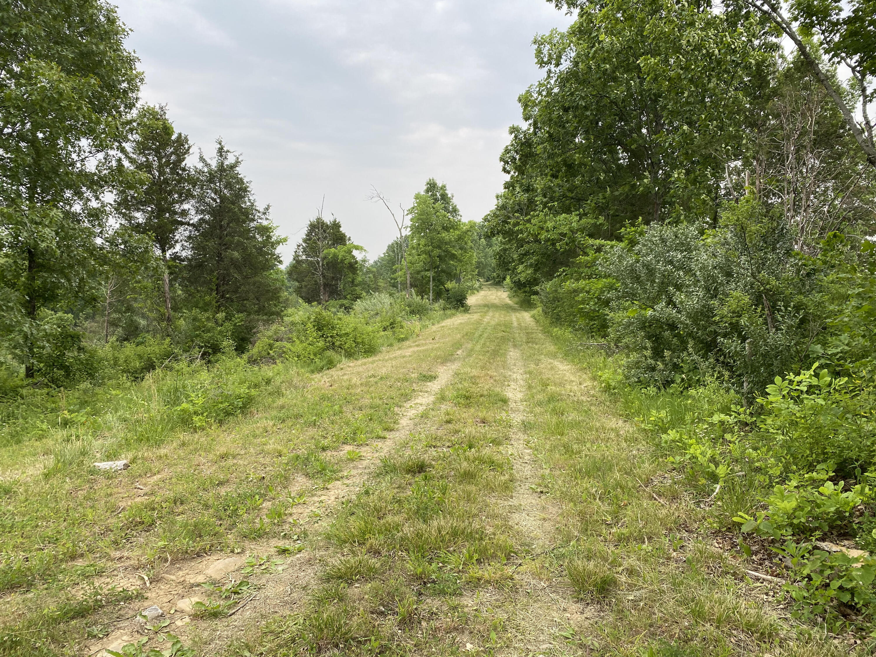 1100 Fairview Road Williamstown, KY 41097 - Photo 73 of 74 unnamed (28)