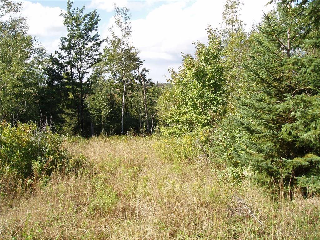 Lot 9 Currier Road Fort Fairfield, ME 04742 - Photo 3 of 10 Photo