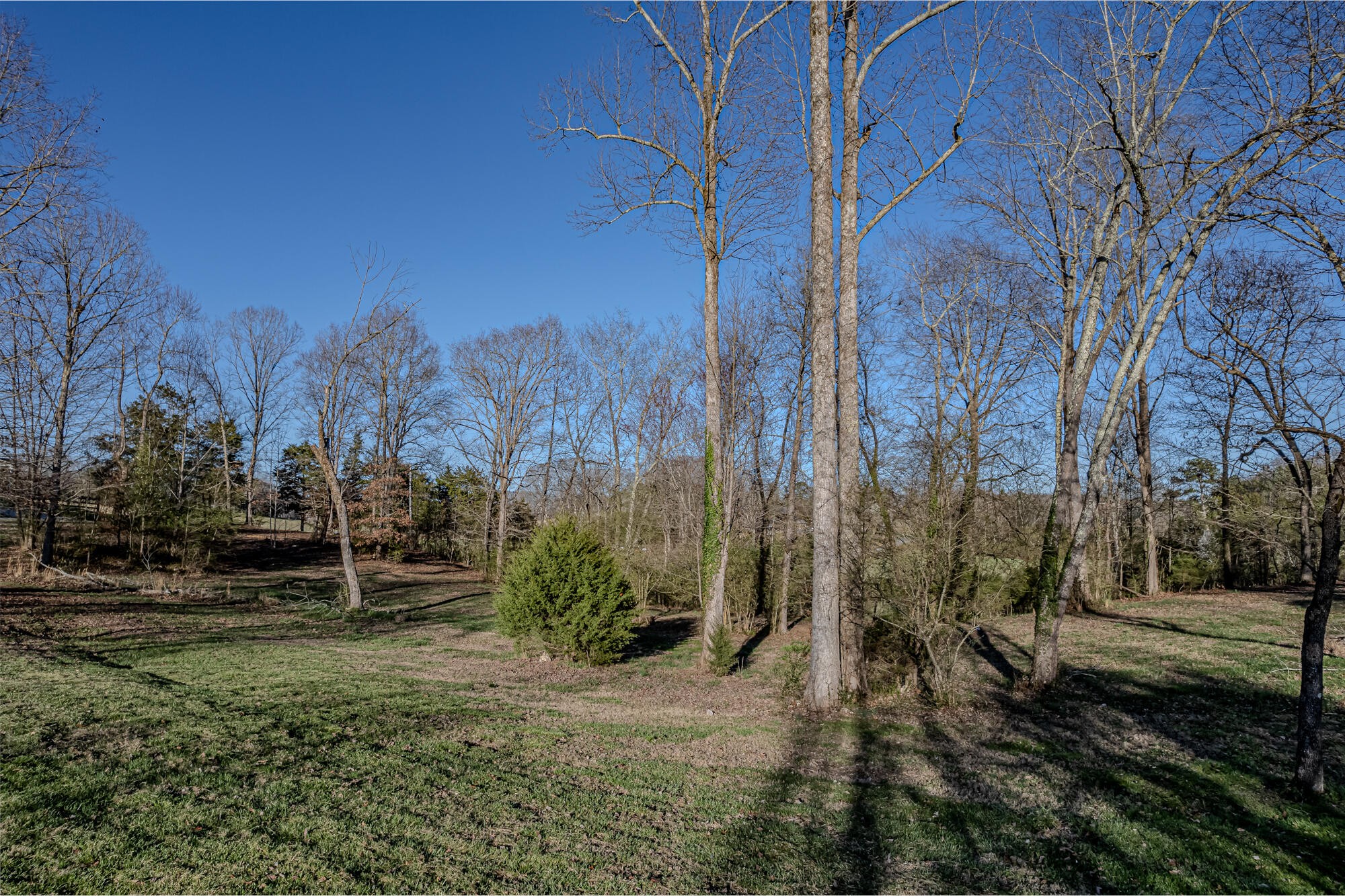 280 County Road 728 Riceville, TN 37370 - Photo 11 of 53 Gallery Image 11