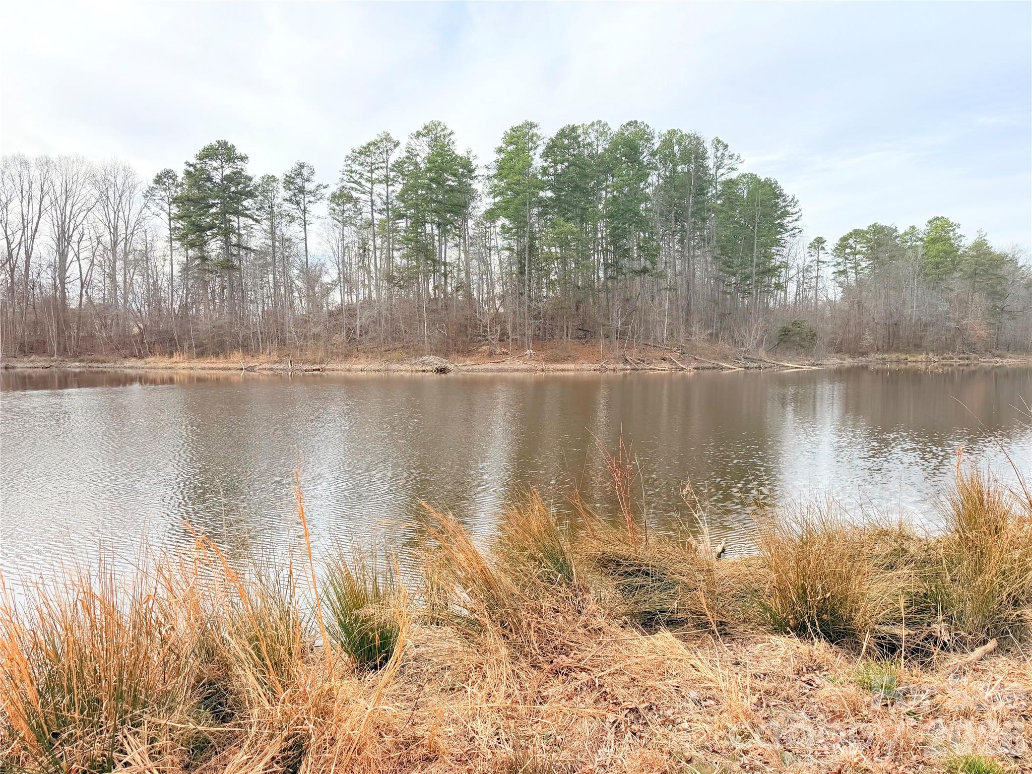 1266 Old Lincolnton Crouse Road Crouse, NC 28033 - Photo 26 of 34 a view of lake with green space