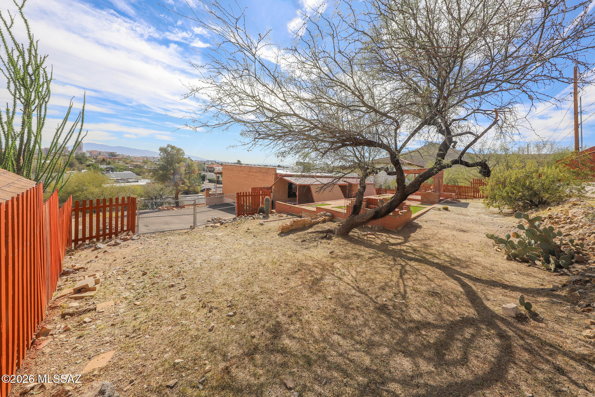 37 North Silverbell Road Tucson, AZ 85745 - Photo 27 of 31 a view of a yard with plants and trees