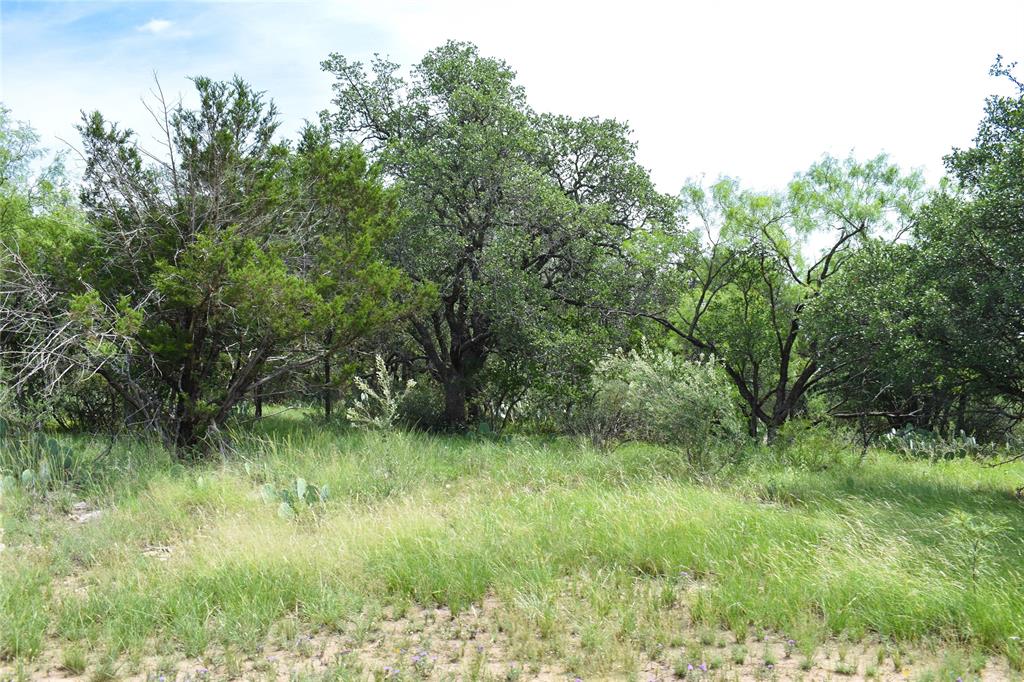 1300 Homestead Drive Rochelle, TX 76872 - Photo 37 of 37