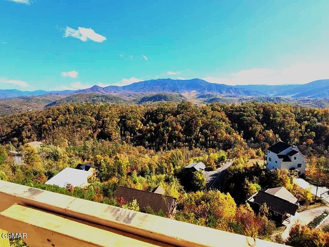 736 Village Loop Road Gatlinburg, TN 37738 - Photo 11 of 33 Gallery Image 11