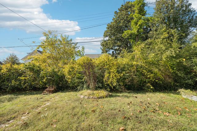 a view of a yard with plants and trees