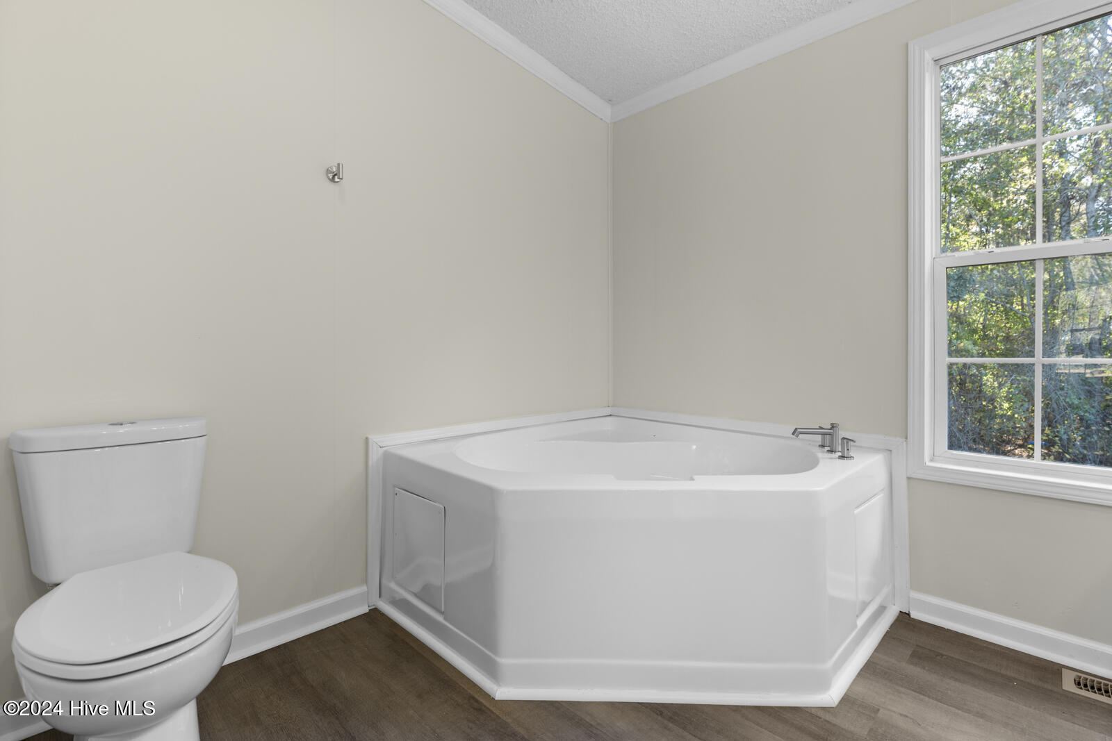 119 Manchester Lane Sneads Ferry, NC 28460 - Photo 17 of 27 1000056132