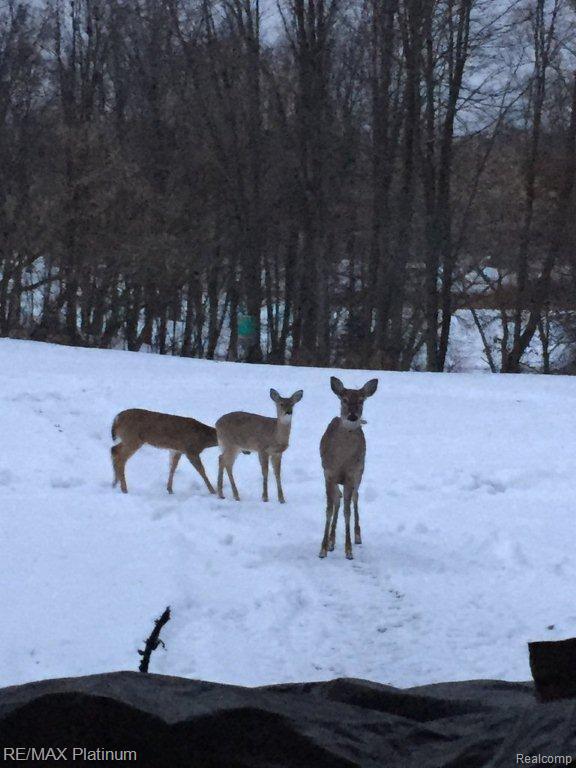2274 Sexton Road Howell, MI 48843 - Photo 39 of 44 july2015 010.jpg