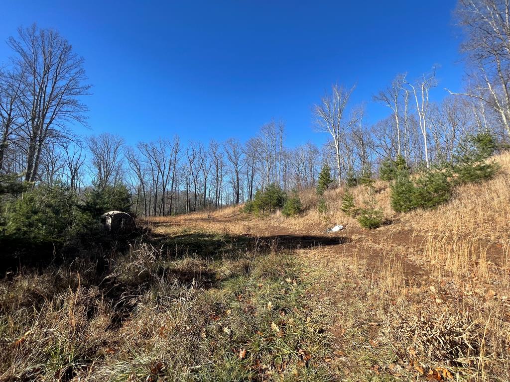 0 Coke Plant Road Bluefield, WV 24701 - Photo 1 of 1 Gallery Image 1