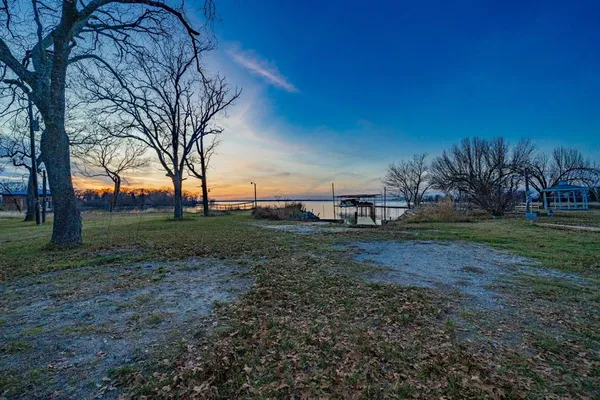a view of a yard with a tree