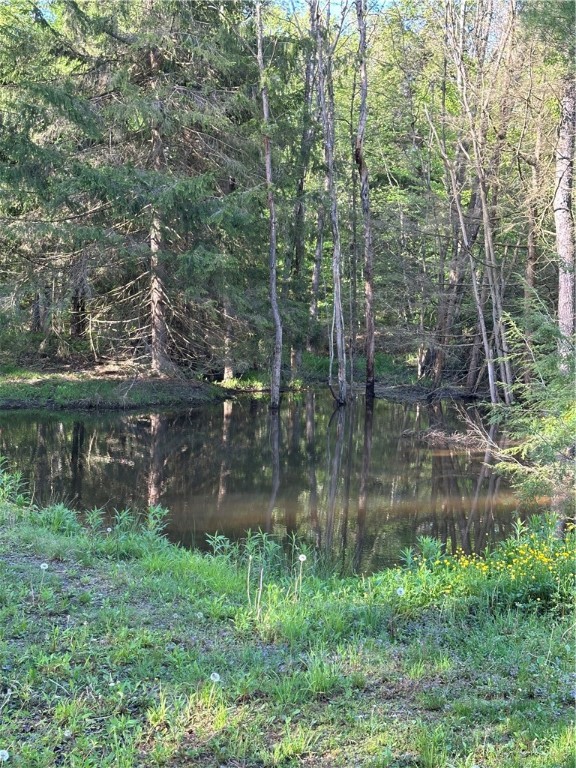 306 Chapel Fork Road Lewis Run, PA 16738 - Photo 4 of 22