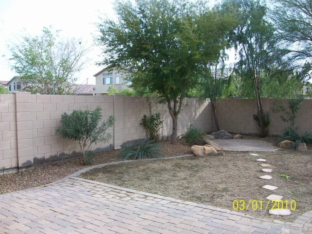 4312 South Rim Court Gilbert, AZ 85297 - Photo 7 of 20 Another view fo the back yard