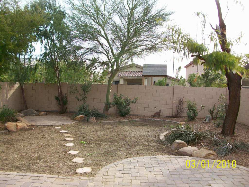4312 South Rim Court Gilbert, AZ 85297 - Photo 10 of 20 Back yard with room for a pool