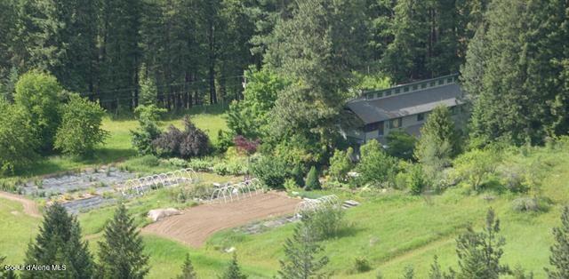 266 Falcon Ridge Road Kooskia, ID 83539 - Photo 3 of 50 3