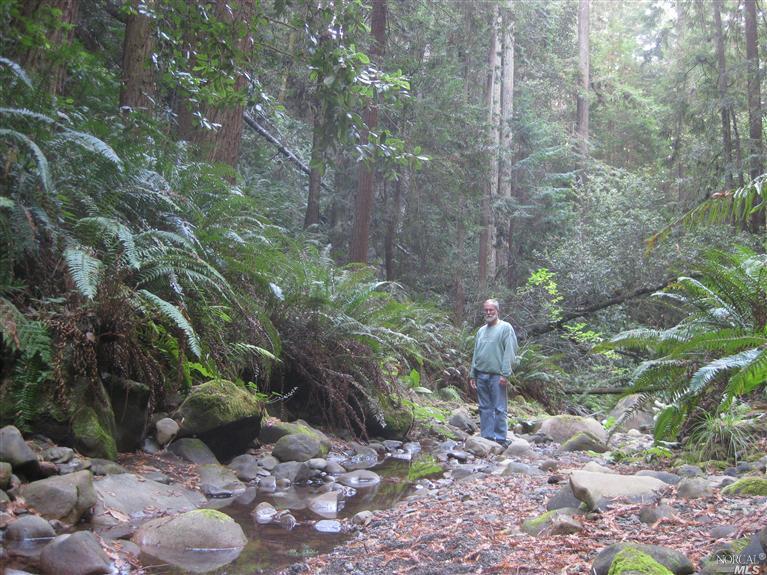 21980 Timber Cove Road Jenner, CA 95450 - Photo 1 of 1 Gallery Image 1