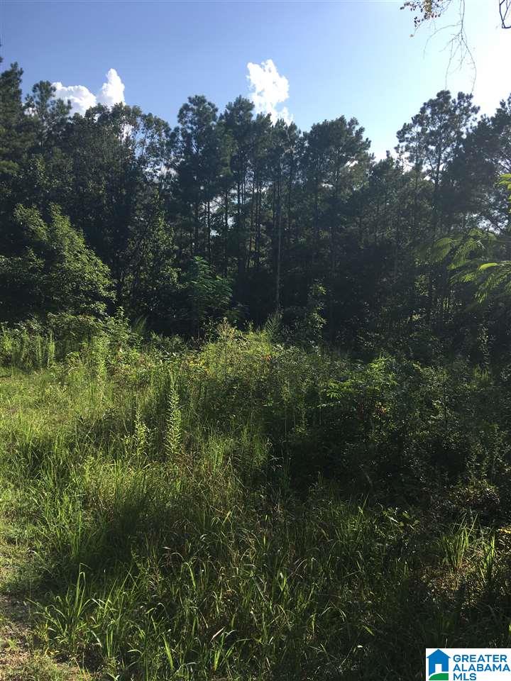 9686 Garrett Road, Unit 3 17 Warrior, AL 35180 - Photo 1 of 5