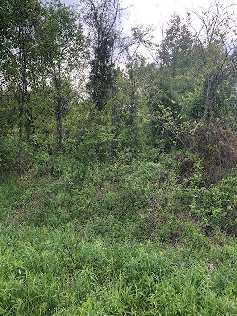 3 Hester Ridge Road Wallingford, KY 41093 - Photo 3 of 6 hr4